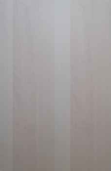IKEA NEXUS Tür Küchenfront 60x92cm birke 001.360.13