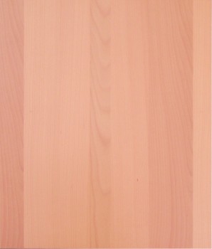 IKEA ÄDEL Perfekt Deckseite in Buche 70cm 101.467.09 IKEA ÄDEL Perfekt Deckseite in Buche 70cm 101.467.09