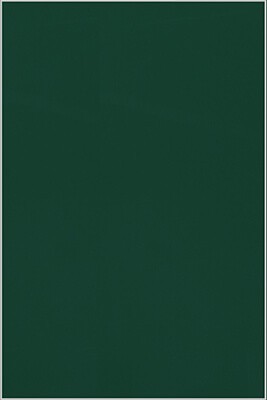 IKEA Rubrik Vitrinentür Küchenfront 60x92cm grün 401.449.97 IKEA Rubrik Vitrinentür Küchenfront 60x92cm grün 401.449.97