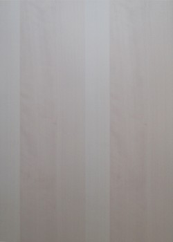 IKEA NEXUS Tür Küchenfront 50x70cm birke 901.360.04